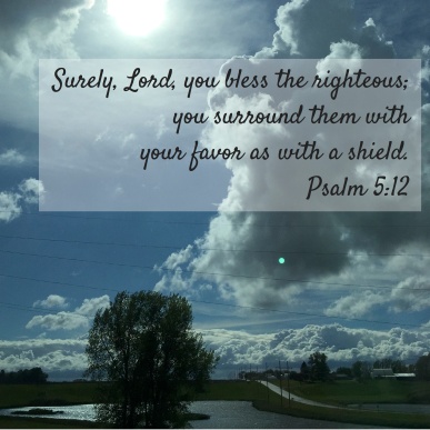 Surely, Lord, you bless the righteous; copy